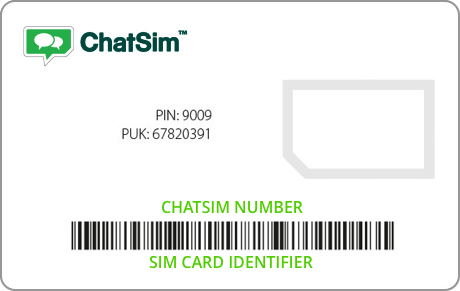 ChatSIM